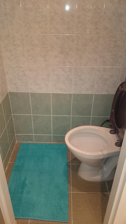 Studio Apartman Jakobyho Apartment โกชิเซ ภายนอก รูปภาพ